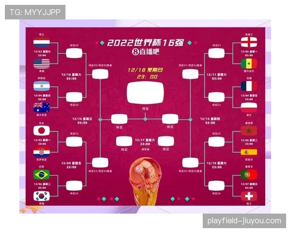 世界杯E组球队晋级难度排行